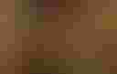 Loading image...