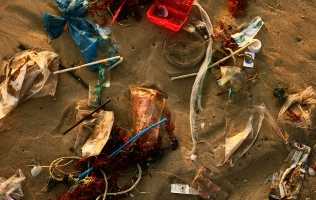 plastic-trash-4897354-small.jpg