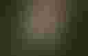 Loading image...