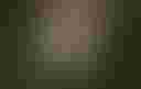 Loading image...
