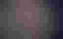 Loading image...