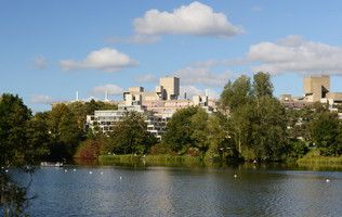 Image of UEA broad