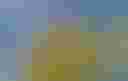 Loading image...