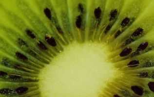 micronutrients-kiwi_small.jpg