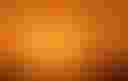 Loading image...