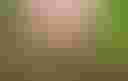 Loading image...