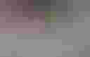 Loading image...