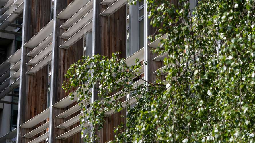 UEA campus shots May 2019