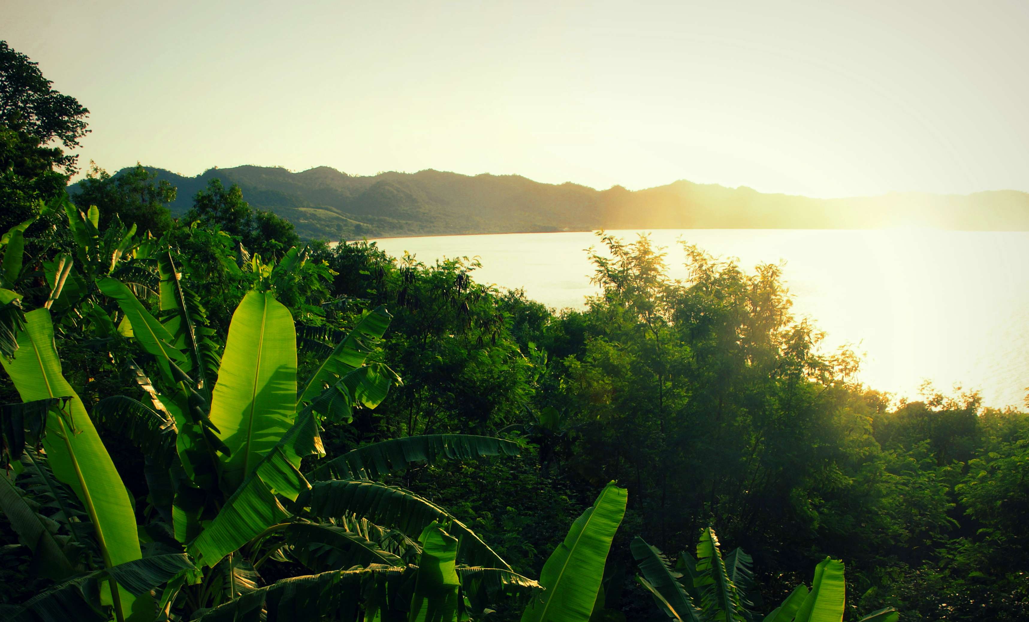 Sunset over the jungle