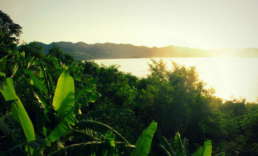 Sunset over the jungle