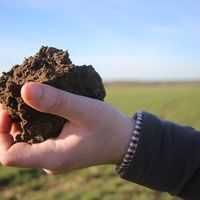 A hand holding a lump of soil