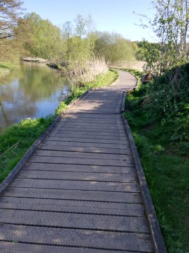 sunny boardwalk by uea lake