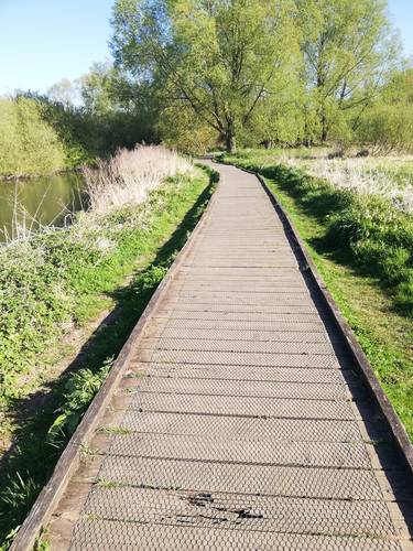 sunny boardwalk by uea lake