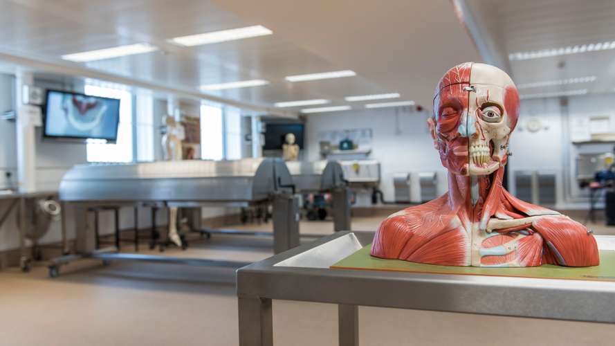 Medical Aspirations - Students in the Anatomy Laboratory