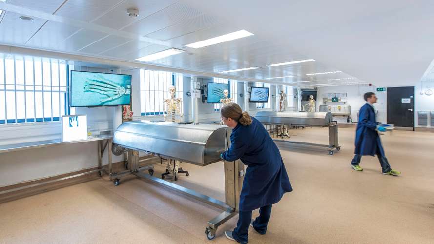 Medical Aspirations - Students in the Anatomy Laboratory