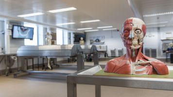 Anatomy Suite