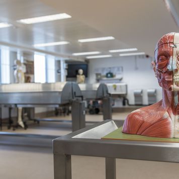 Anatomy Suite