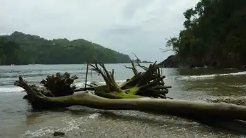 Coastal-erosion-scaled-aspect-ratio-16-9-scaledjpg