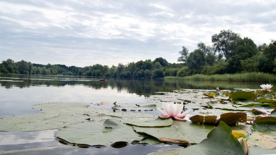 Campus - UEA Broad