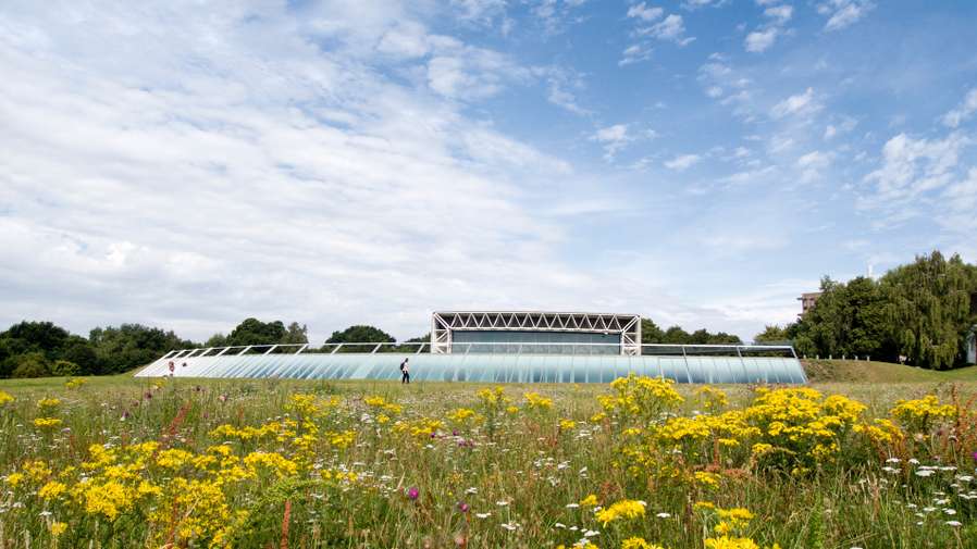 Campus - Sainsbury Centre