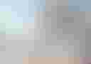 Loading image...
