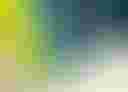 Loading image...