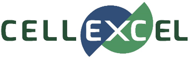 CellExcel