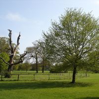 Chantry Park in Ipswich
