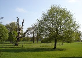Chantry Park in Ipswich