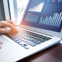 person looking at statistics on laptop