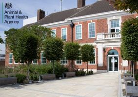 Animal and plant health logo and building