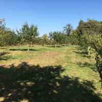 Stisted Community Orchard