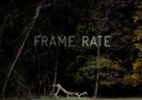 FRAMERATE branding on a woodland at night