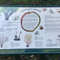 Sign at  Wandlebury Country Park Orchard