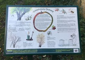 Sign at  Wandlebury Country Park Orchard