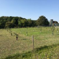 Etonbury Wheel Community Orchard