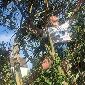 Meg Watts in a tree