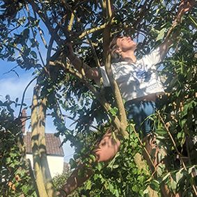 Meg Watts in a tree