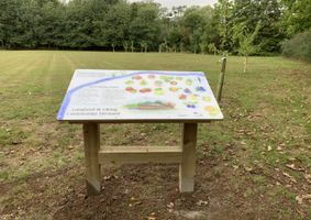 Langford and Ulting Community Orchard