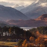 Lake surrounded by forest and mountains