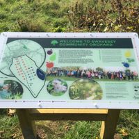 Swavesey Community Orchard