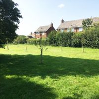 Sharnbrook Community Orchard