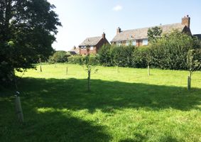 Sharnbrook Community Orchard