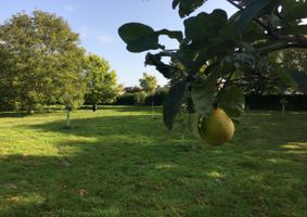Burwell Community Orchard