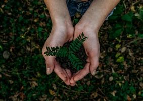 hands holding soil and plant