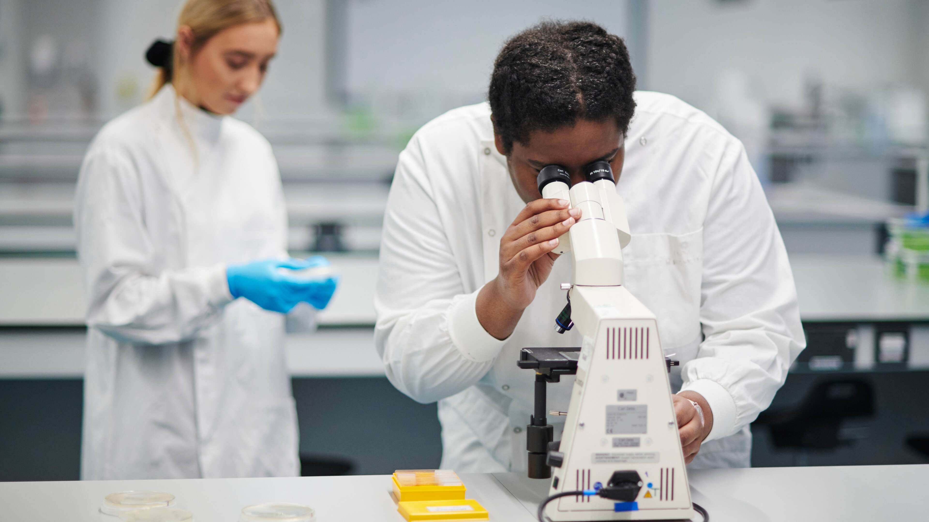 Mature students of Biology in New Science Building laboratory conducting an experiment.