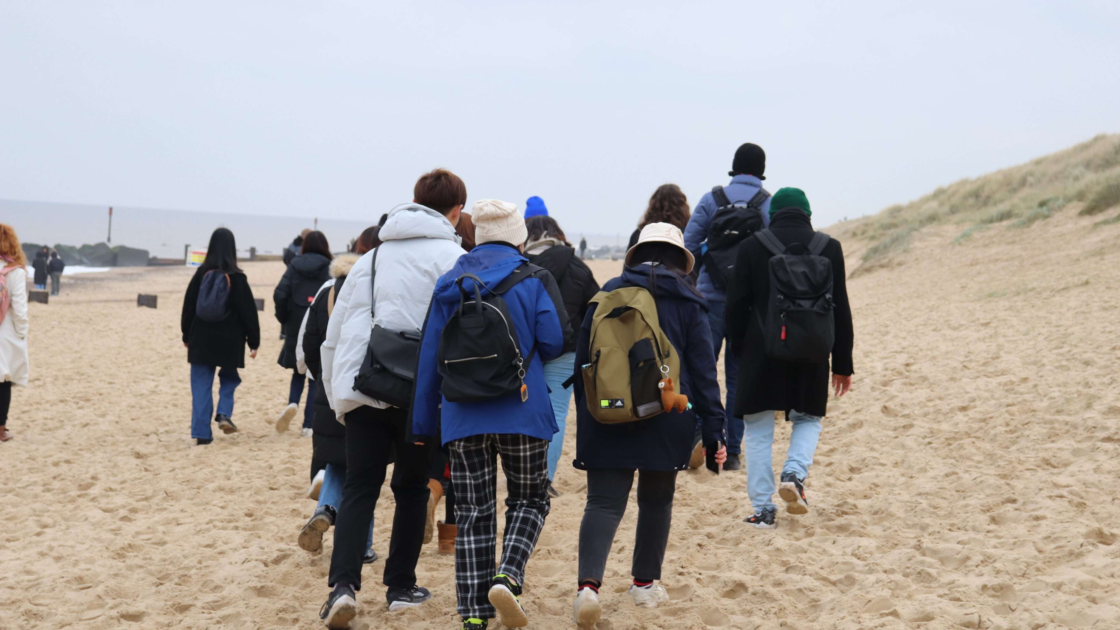 A group of students facing away from camera walking along a sandy beach.