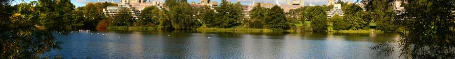 View of the Broad at UEA