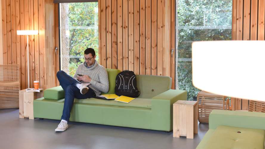 Student studying in the Enterprise Centre (TEC) on campus.