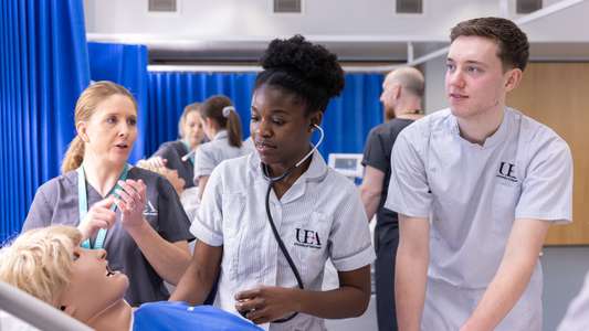 Nursing students working together during a learning session